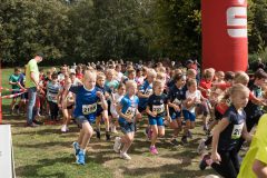Warendorfer_Emssee-Lauf_2026_577-scaled