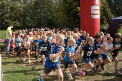 Warendorfer_Emssee-Lauf_2026_578-scaled