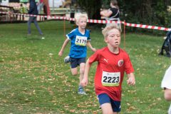 Warendorfer_Emssee-Lauf_2026_596-scaled