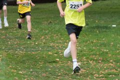 Warendorfer_Emssee-Lauf_2026_606-scaled