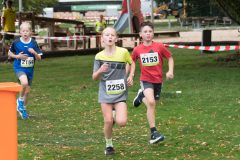 Warendorfer_Emssee-Lauf_2026_614-scaled