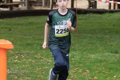Warendorfer_Emssee-Lauf_2026_619-scaled
